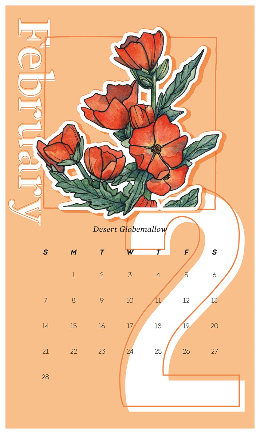 illustration of 2021 Wall Calendar Design with Desert Globemallow.
Illustration originally completed in watercolor and ink by Adela Antoinette
Calendar designed by JPinonDesigns.
wall calendar, calendar, desert flora, flower, globe mallow, plants