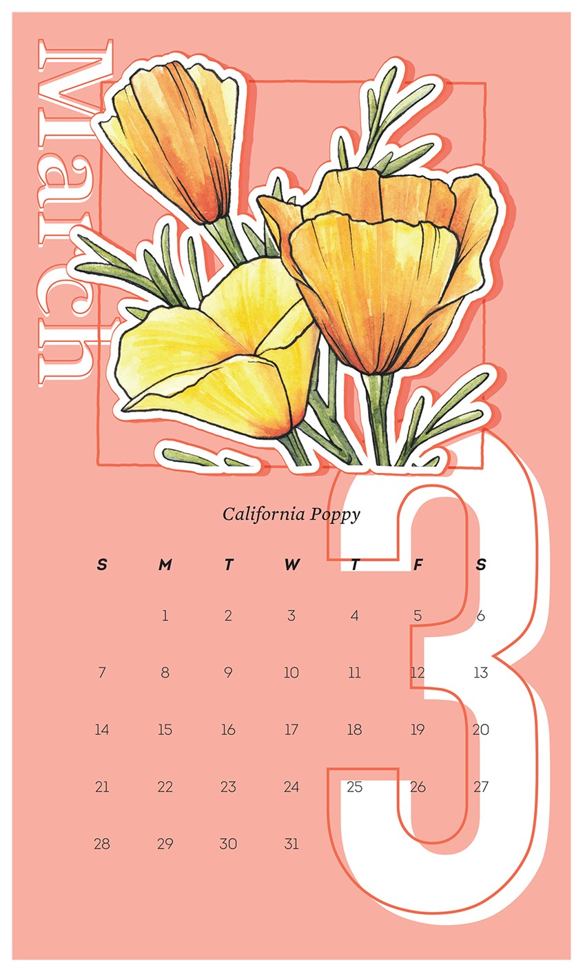 illustration of 2021 Wall Calendar Design with California Poppy.
Illustration originally completed in watercolor and ink by Adela Antoinette
Calendar designed by JPinonDesigns.
wall calendar, calendar, desert flora, flower, California poppy, poppy, plant,
