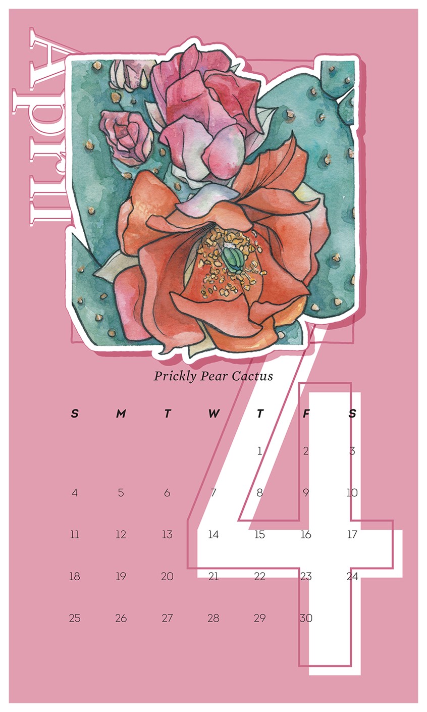 illustration of 2021 Wall Calendar Design with Prickly Pear Cactus. Illustration originally completed in watercolor and ink by Adela Antoinette
Calendar designed by JPinonDesigns.
wall calendar, calendar, desert flora, flower, cactus, prickly pear cactus