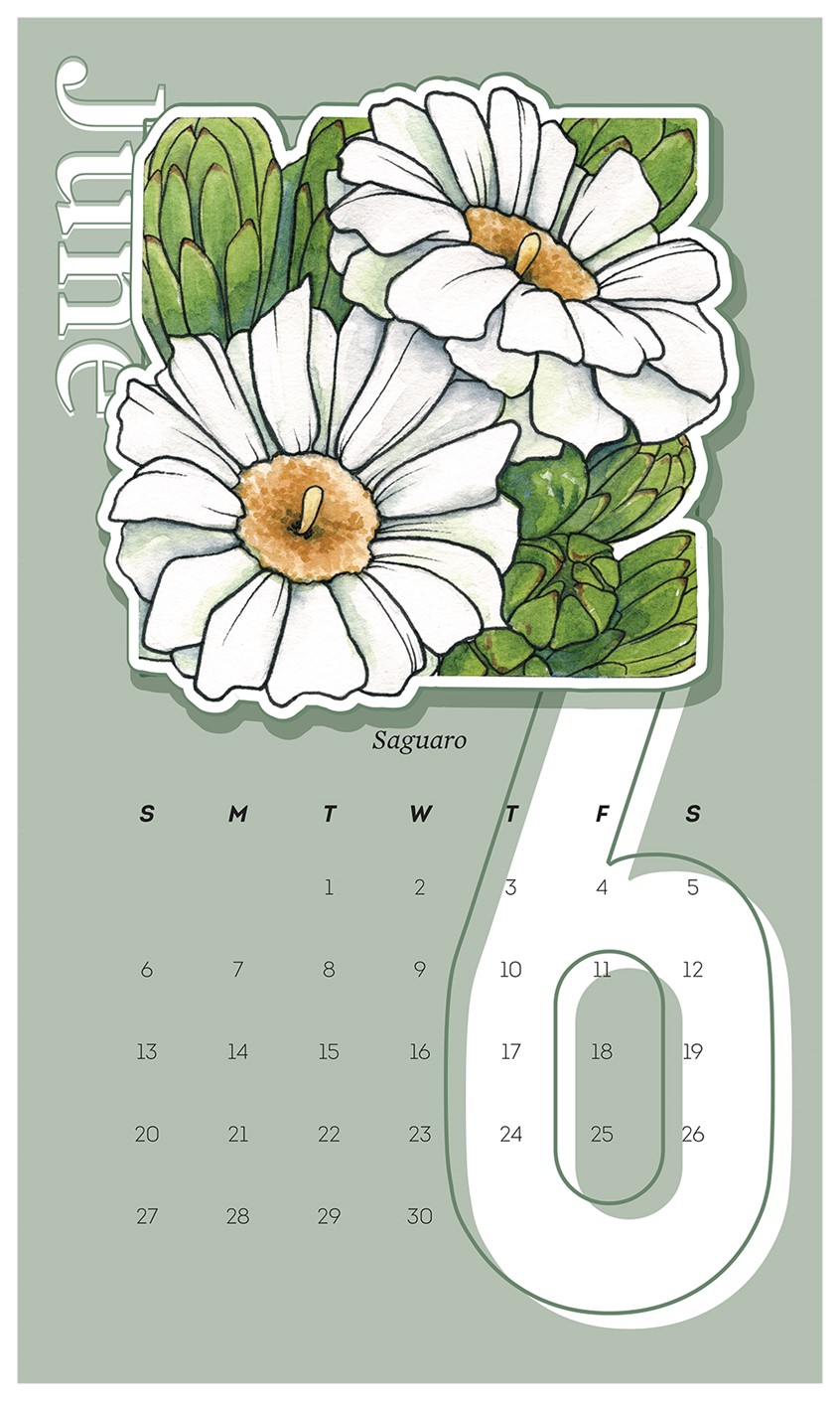 illustration of 2021 Wall Calendar Design with Saguaro. Illustration originally completed in watercolor and ink by Adela Antoinette
Calendar designed by JPinonDesigns.
wall calendar, calendar, desert flora, flower, cactus, saguaro