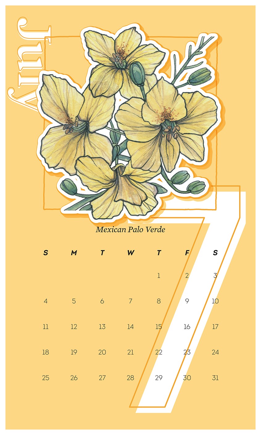 illustration of 2021 Wall Calendar Design with Mexican Palo Verde. Illustration originally completed in watercolor and ink by Adela Antoinette
Calendar designed by JPinonDesigns.
wall calendar, calendar, desert flora, flower, Tree, Mexican Palo Verde