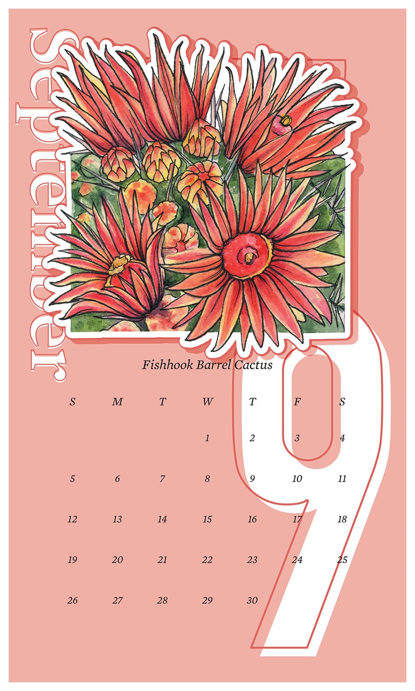 illustration of 2021 Wall Calendar Design with Fishhook Barrel Cactus. Illustration originally completed in watercolor and ink by Adela Antoinette
Calendar designed by JPinonDesigns.
wall calendar, calendar, desert flora, flower, cactus, barrel cactus