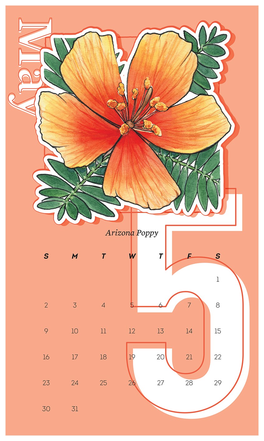 illustration of 2021 Wall Calendar Design with Arizona Poppy. Illustration originally completed in watercolor and ink by Adela Antoinette
Calendar designed by JPinonDesigns.
wall calendar, calendar, desert flora, flower, poppy, Arizona Poppy