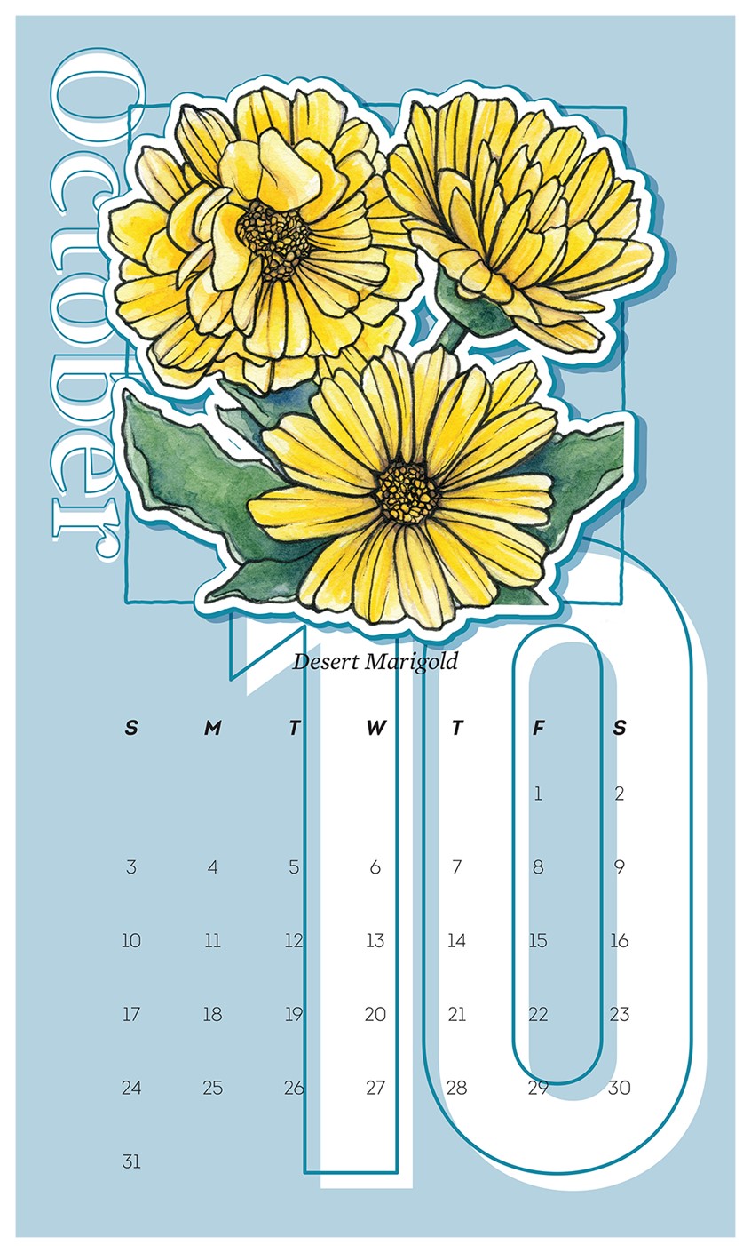 illustration of 2021 Wall Calendar Design with Desert Marigold. Illustration originally completed in watercolor and ink by Adela Antoinette
Calendar designed by JPinonDesigns.
wall calendar, calendar, desert flora, flower, marigolds, Desert Marigold