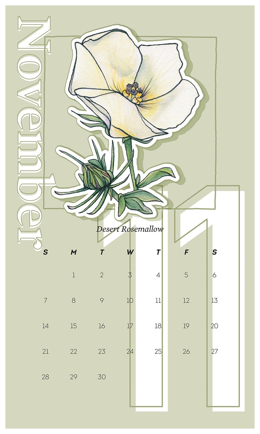 illustration of 2021 Wall Calendar Design with Desert Rosemallow. Illustration originally completed in watercolor and ink by Adela Antoinette
Calendar designed by JPinonDesigns.
wall calendar, calendar, desert flora, flower, plant, Desert Rosemallow