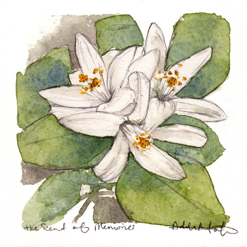 illustration of The Scent of Memories. 3