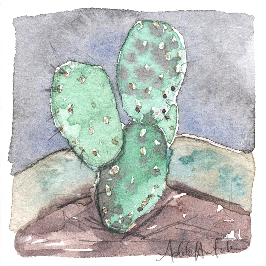 illustration of Baby Prickly Pear Cactus. 3