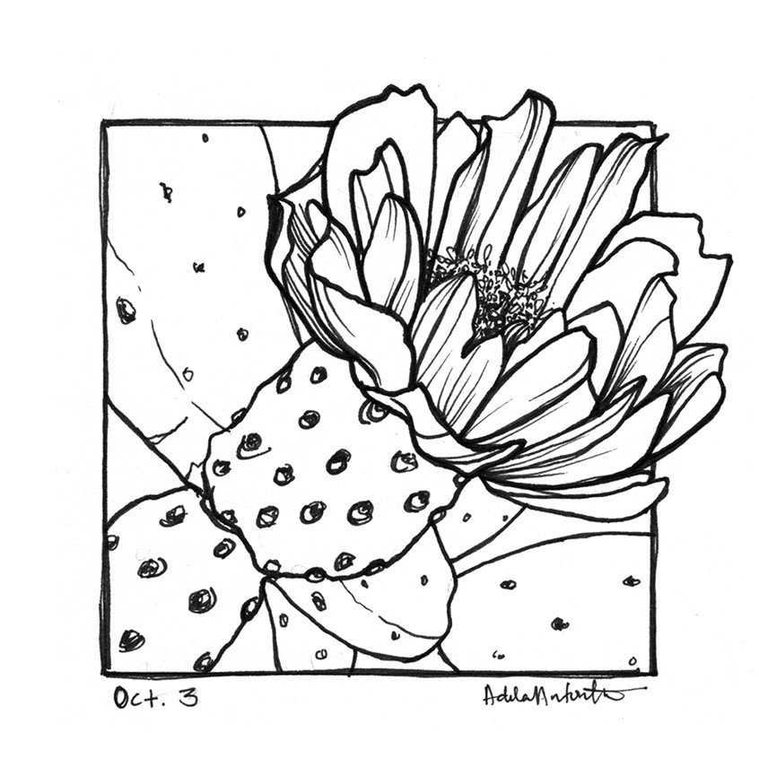 illustration of OCT 3rd. Inktober 2019.
*Zine & coloring book in the works for Inktober Illustrations*
Ink, desert, cacti, cactus, prickly pear, line drawing, black and white, drawing, ink drawing, pen
