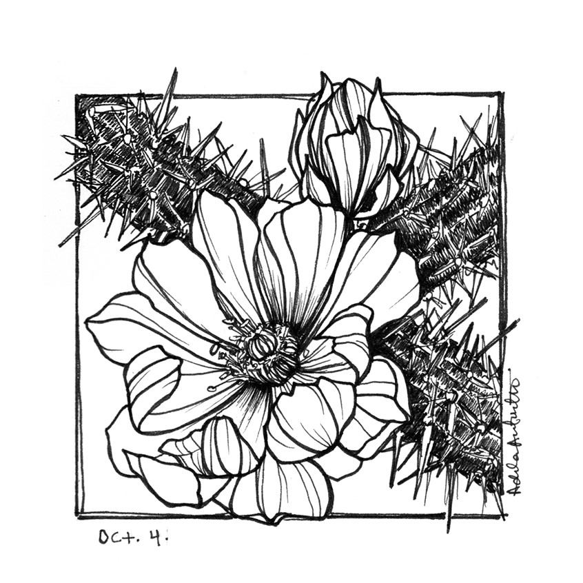 illustration of OCT 4th. Inktober 2019.
*Zine & coloring book in the works for Inktober Illustrations*
Ink, desert, cacti, cactus, cholla cactus, line drawing, black and white, drawing, ink drawing, pen, bloom, flower