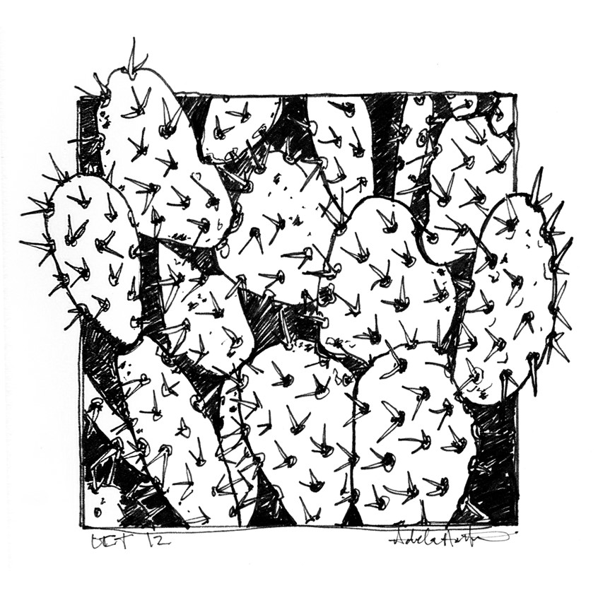 illustration of OCT 12th. Inktober 2019.
*Zine & coloring book in the works for Inktober Illustrations*
Ink, desert, cacti, cactus, prickly Pear, line drawing, black and white, drawing, ink drawing, pen, bloom, succulent