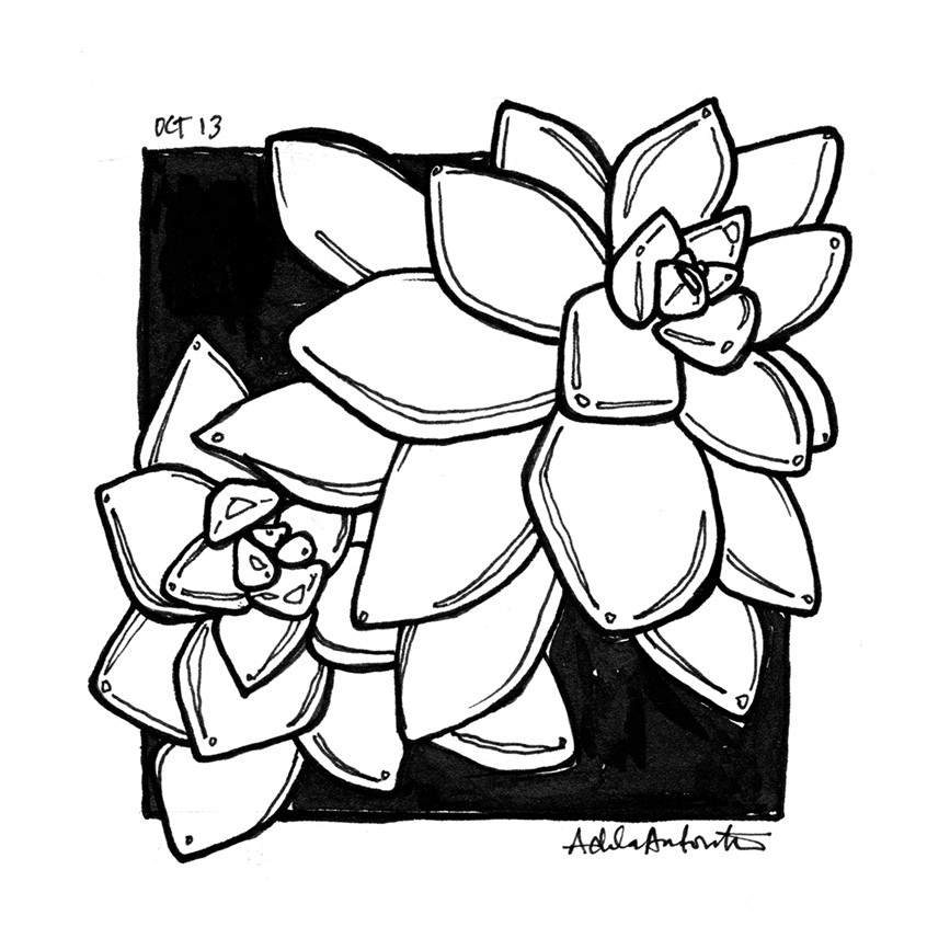 illustration of OCT 13th. Inktober 2019.
*Zine & coloring book in the works for Inktober Illustrations*
Ink, desert, cacti, cactus, succulent, line drawing, black and white, drawing, ink drawing, pen, bloom, flower