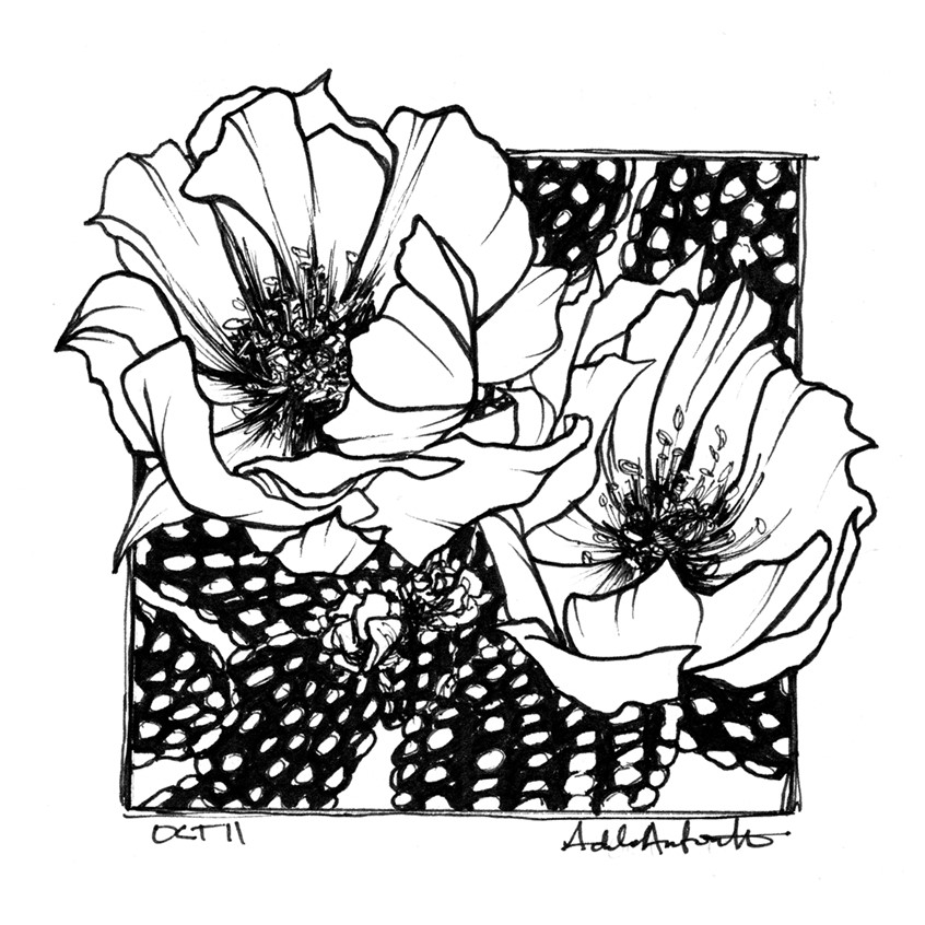 illustration of OCT 11th. Inktober 2019.
*Zine & coloring book in the works for Inktober Illustrations*
Ink, desert, cacti, cactus, prickly pear cactus, prickly pear, line drawing, black and white, drawing, ink drawing, pen, bloom, flower, desert flower