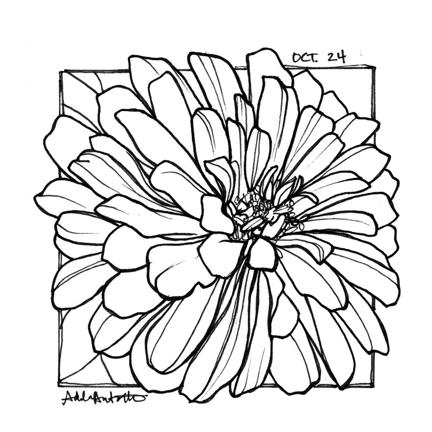 illustration of OCT 24th. Inktober 2019.
*Zine & coloring book in the works for Inktober Illustrations*
Ink, desert, flora, flowers, park, botany, park flower, pollen, line drawing, black and white, drawing, ink drawing, pen, bloom, flower