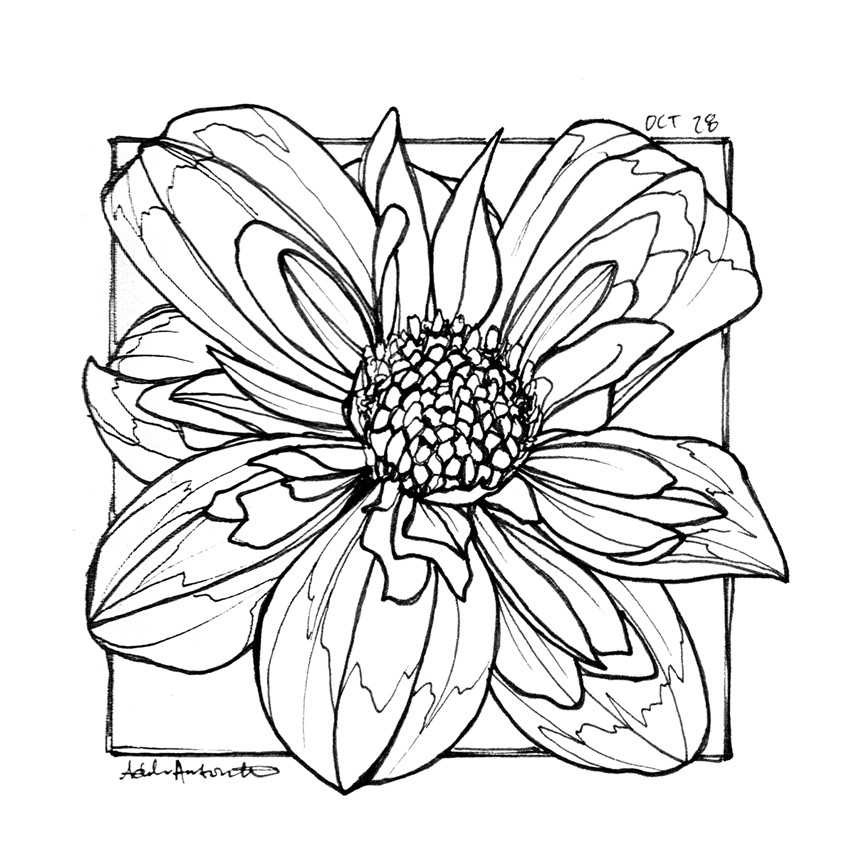 illustration of OCT 28th. Inktober 2019.
*Zine & coloring book in the works for Inktober Illustrations*
Ink, desert, flora, flowers, park, botany, park flower, pollen, line drawing, black and white, drawing, ink drawing, pen, bloom, flower