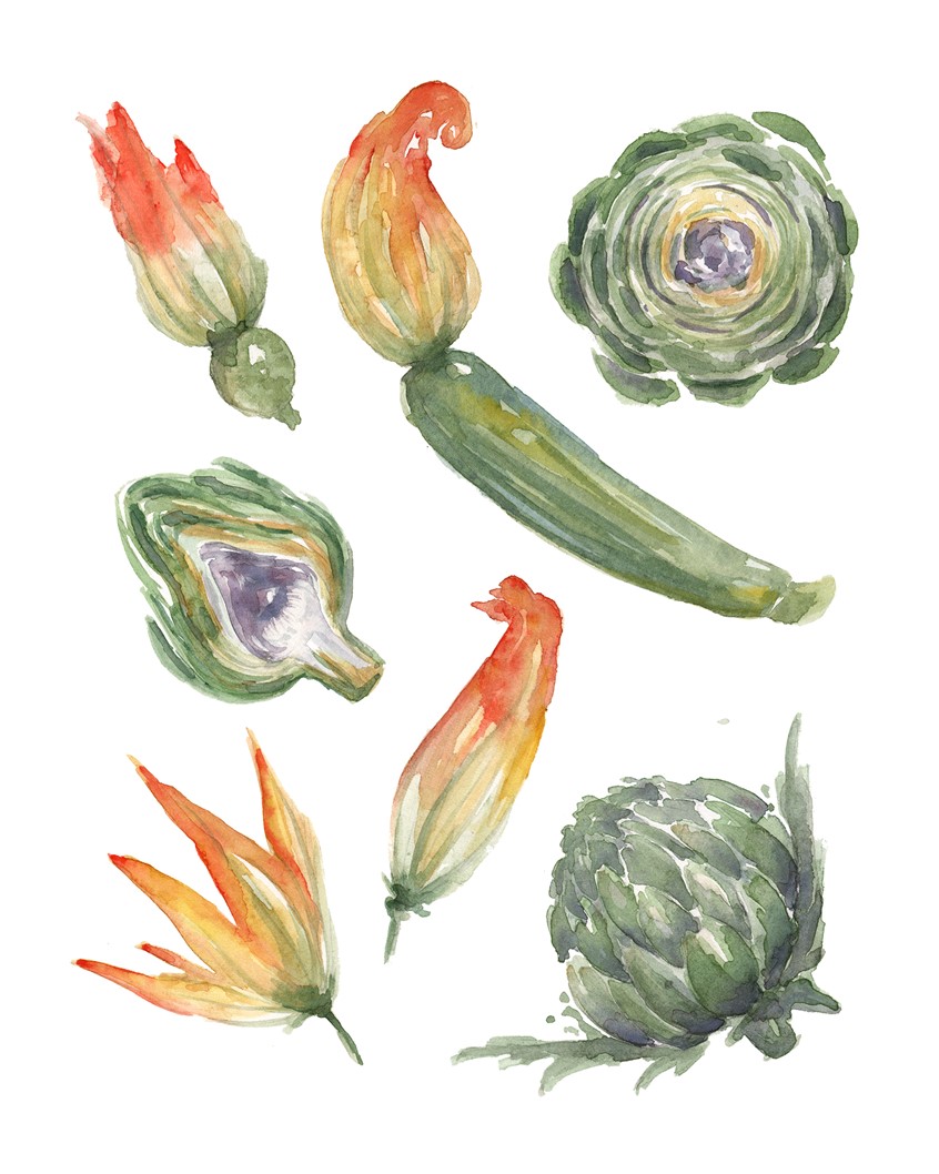 illustration of Artichokes & Squash, Spot Illustrations for EBA Magazine Homestead section. Watercolor & Pencil.
Editorial Illustrations for Edible Baja Arizona Magazine’s Homestead Series. 2016-2017
Editorial, spot illustration, food, farm, farm to table, planting, veggies, garden, home life, patio