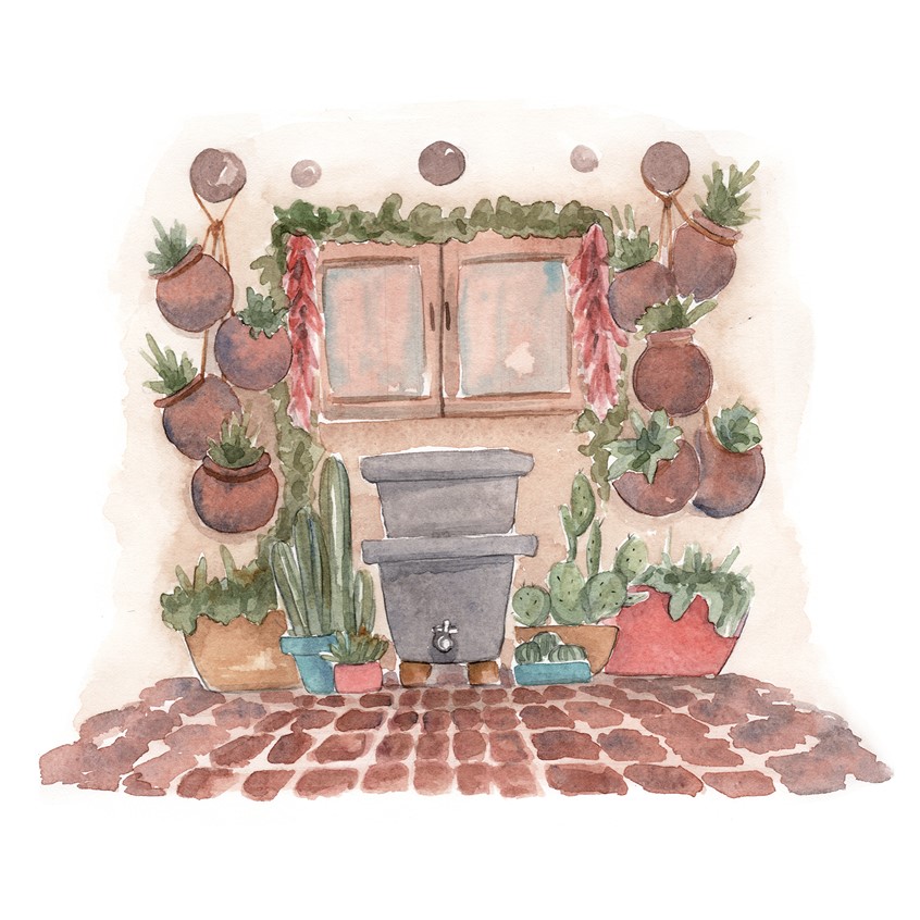 illustration of Illustration for EBA Homestead article on worm composting. Watercolor & Pencil.
Editorial Illustrations for Edible Baja Arizona Magazine’s Homestead Series. 2016-2017
Editorial, spot illustration, worm composting, compost, desert, terra cotta, home life, patio