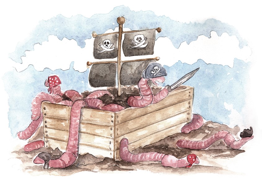 illustration of Worm Mutiny. Illustration for EBA Homestead article on worm composting. Watercolor & Pencil.
Editorial Illustrations for Edible Baja Arizona Magazine’s Homestead Series. 2016-2017
Editorial, spot illustration, worms, pirate, worms, dirt, compost, composting, worm bin