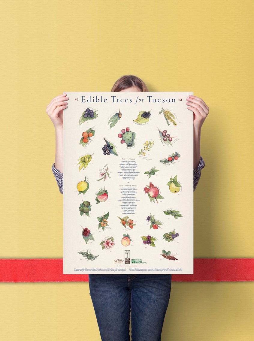 illustration of Edible Trees for Tucson Poster.
Native and Non-Native Plant illustrations for Edible Baja Arizona Magazine poster.
(Editorial Illustrations for Edible Baja Arizona Magazine’s Homestead Series. 2016-2017)