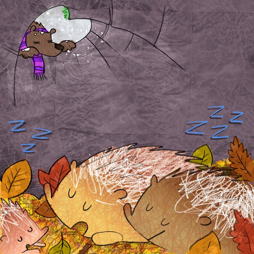 illustration of Excerpt from a work in progress picture book about animals, their habitats, the changing seasons, making friends and trying to find somewhere where you belong // bear, scarf, cave, hedgehogs, leaves, snow, Autumn, Fall, Winter, sleep, hibernation, cute