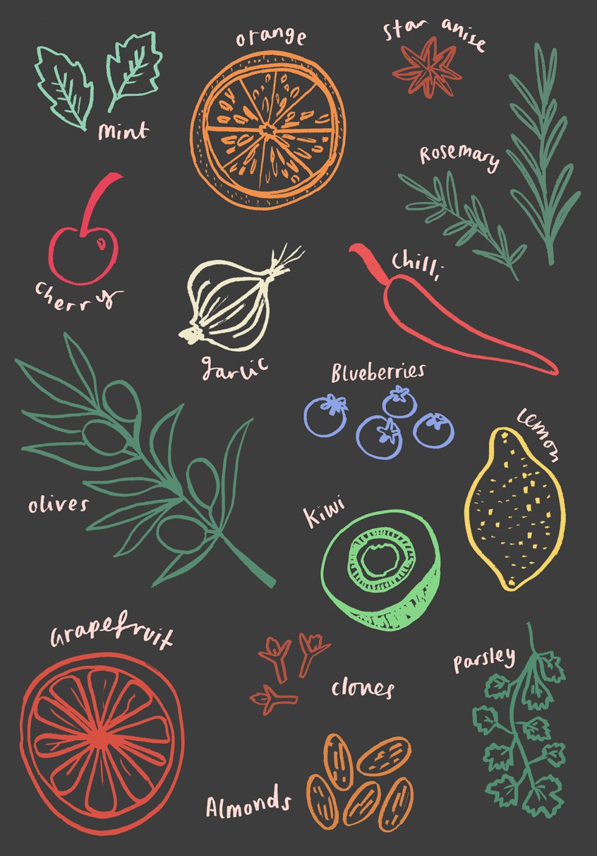 illustration of Natural Remedies illustration.
Created using ink drawings coloured digitally on a dark background to create a sense of a vibrancy from the ingredients.
Food, natural, natural remedies, health, vitamins, minerals, fruit, veg, colour, line drawings, food drawings, food illustration.