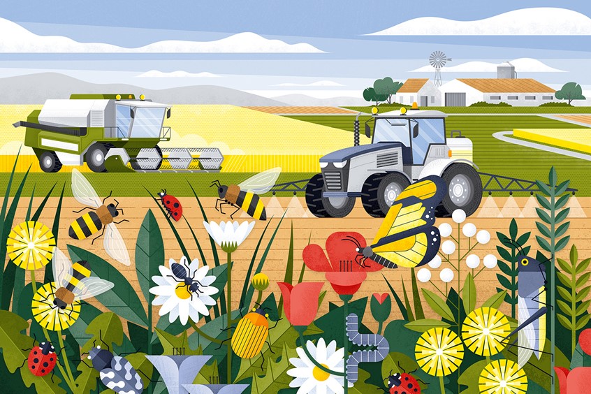 illustration of Editorial illustration about decline in insects for Electrified magazine. The artwork deals with the growing threat to insects caused by commercial agriculture methods, misuse of pesticides and the global warming. insects, editorial illustration, magazine illustration, animals, nature, summer, agriculture, landscape, bee, grasshopper, beetle, flower, meadow, flat, geometric, floral
