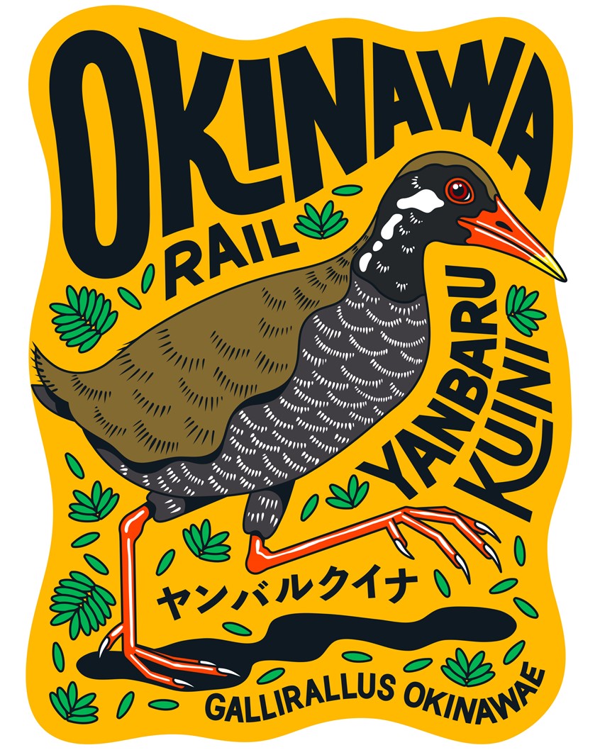 illustration of The Okinawan rail (ヤンバルクイナ), an endangered bird native to the Yambaru forest in northern Okinawa. I was born in Okinawa, and wanted to create an illustration connected to this beautiful island, ecology, and environmental heritage. The rail has evolved for a closed ecosystem. Today, development, habitat fragmentation, invasive species, and infrastructure have reshaped that environment, placing the species at risk.