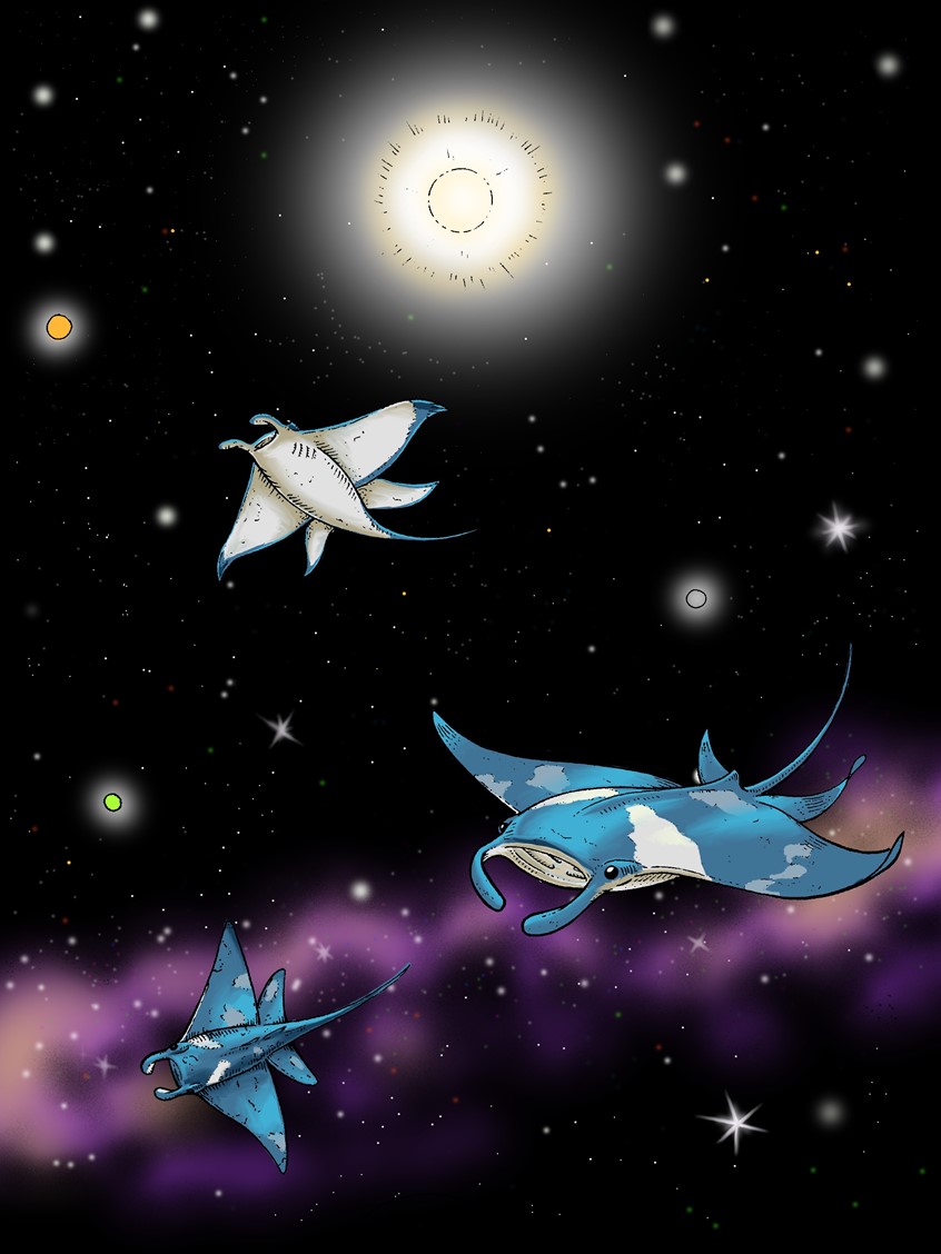 illustration of 9