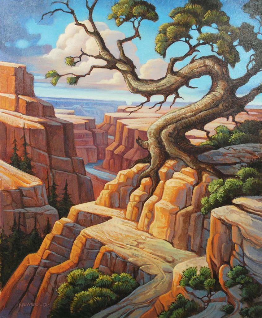 illustration of editorial illustration about hiking trails in Grand Canyon and other national parks. tree canyon erosion hike hiking adventure river clouds environment outdoor outdoors active camping park