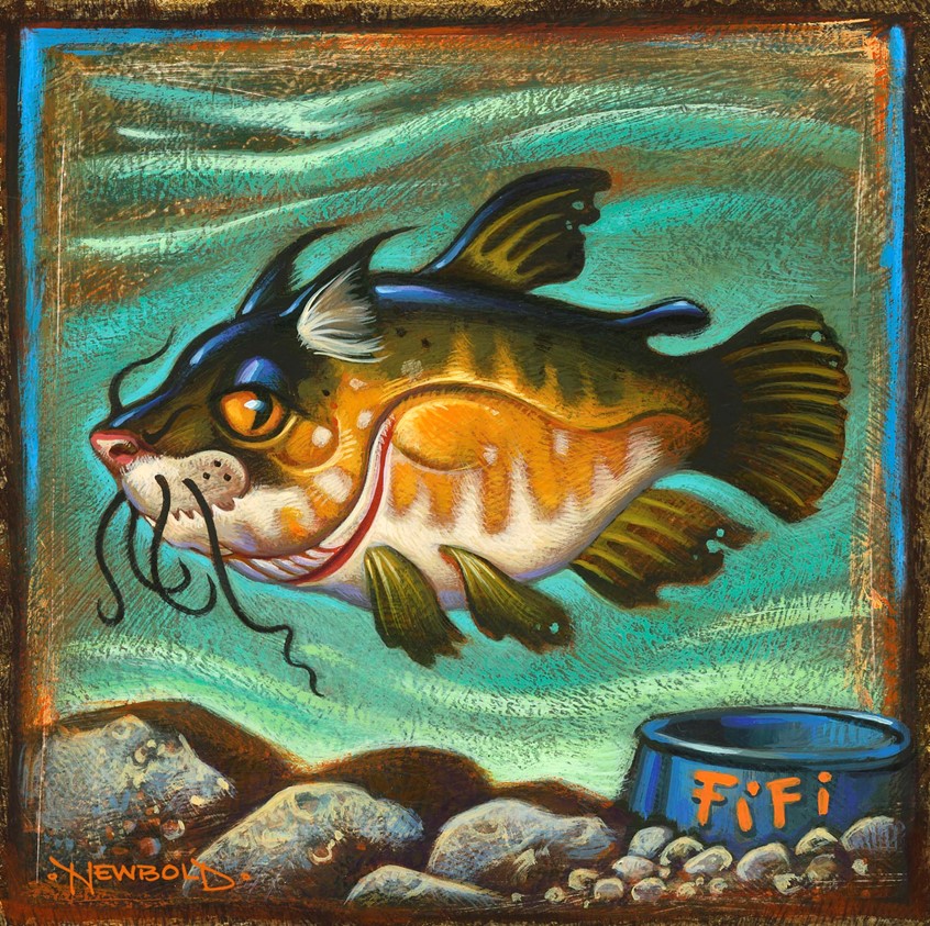 illustration of personal piece exploring concept and character design using imaginary fish, catfish cat fish pet, ocean underwater whimsy humor fun funny water texture children's illustration animal whiskers Fifi sly