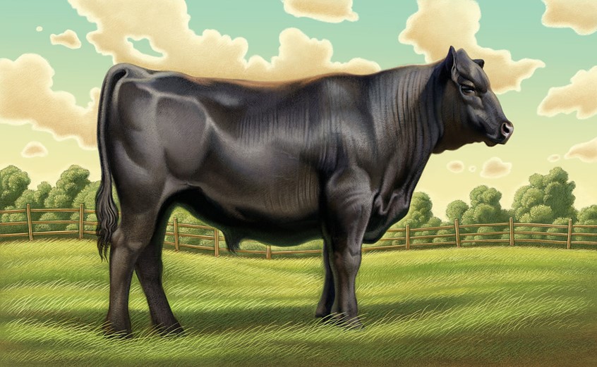illustration of Part of an advertising campaign marketing technology that verifies food safety from farm to table. Focus was on the various farm products from produce to meat done in a very classic retro Americana approach. farm bucolic realism stylized cow bull pasture clouds agriculture food