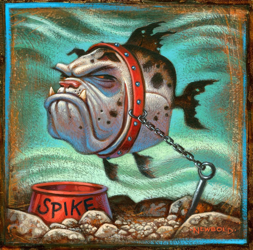 illustration of personal piece exploring concept and character design using imaginary fish, dogfish dog fish pet, ocean underwater whimsy humor fun funny water texture children's illustration animal whiskers Spike sly grumpy chain guard dog bulldog