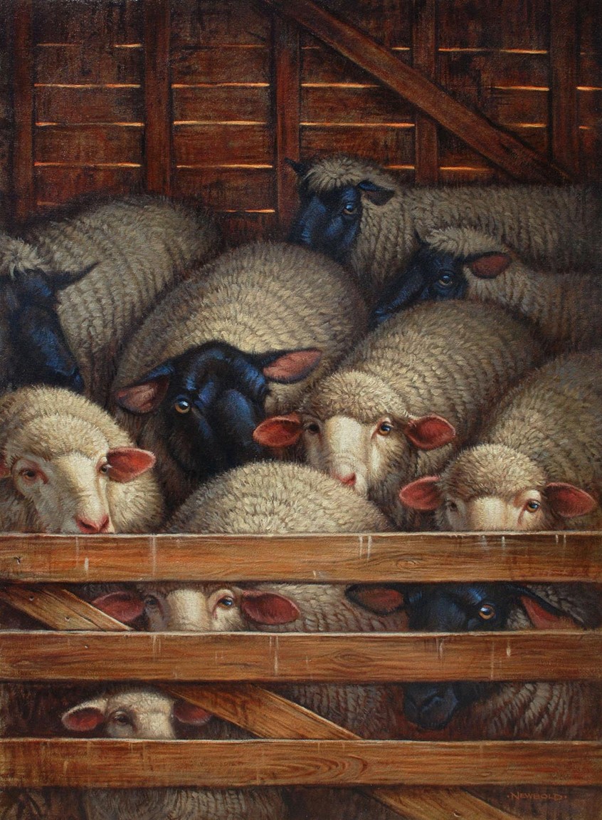 illustration of Gallery oil painting depicting a flock of sheep being held while awaiting their yearly shearing. painterly gallery fine art realism realistic muted palette livestock animals Americana farming ranching farm ranch barn classical traditional formal texture
