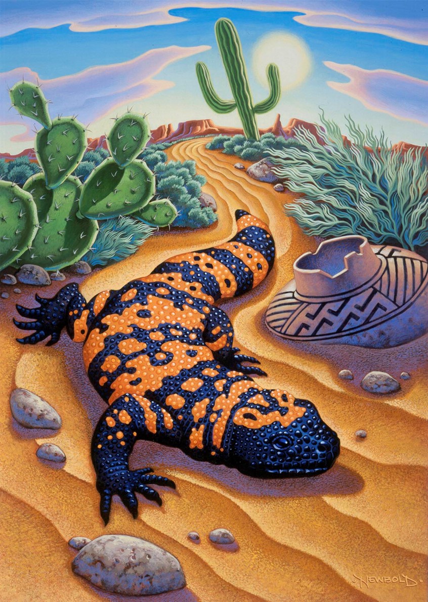illustration of Book cover for an elementary school reading textbook.Lizard reptile animal animals desert landscape southwest western west cactus cacti sand pottery history historical artifact hot dry sage saguaro pattern texture stylized