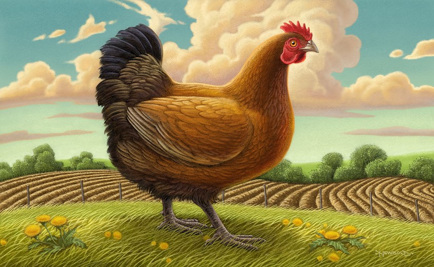 illustration of Part of an advertising campaign marketing technology that verifies food safety from farm to table. Focus was on the various farm products from produce to meat and dairy done in a very classic retro Americana approach. farm bucolic realism stylized chicken hen poultry clouds agriculture food dairy landscape field
