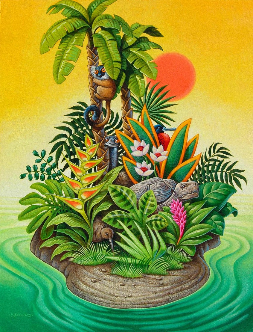 illustration of Cover art for Ask magazine for an issue focusing on the unique animals of Madagascar. Whimsical whimsy fun animal animals wildlife tortoise botanical plants flower flowers island sunset palm palms horticulture