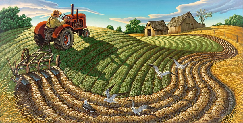 illustration of Spread for the children's picture book Spring Song that tells the story of animals emerging from their winter hibernation. Americana regionalist regionalism plowed field fields tractor vintage plowing gulls seagulls agriculture labor work worker farm farmer stylized realism texture pattern rhythmic