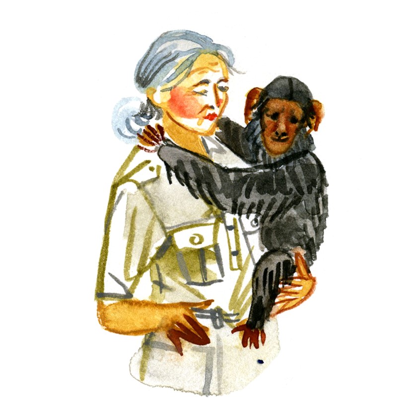 illustration of illustration, strength, power, influence, diversity, leaders, women, portrait, powerful women, equality, woman, conservation, anthropologist, primatologist, chimpanzees