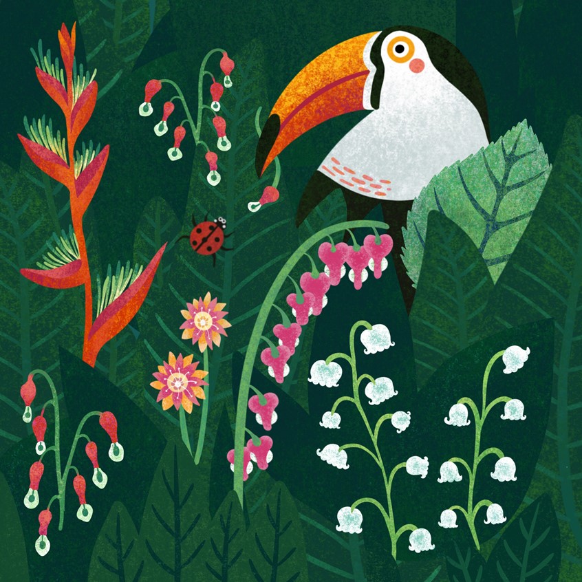 illustration of Sorry, I just mistakenly stolen a flower from your garden.
Tropical bird, botanical gardens, flowers, ecology, ecological education, animal protection, leaves, nature, environmental protection, whimsy.