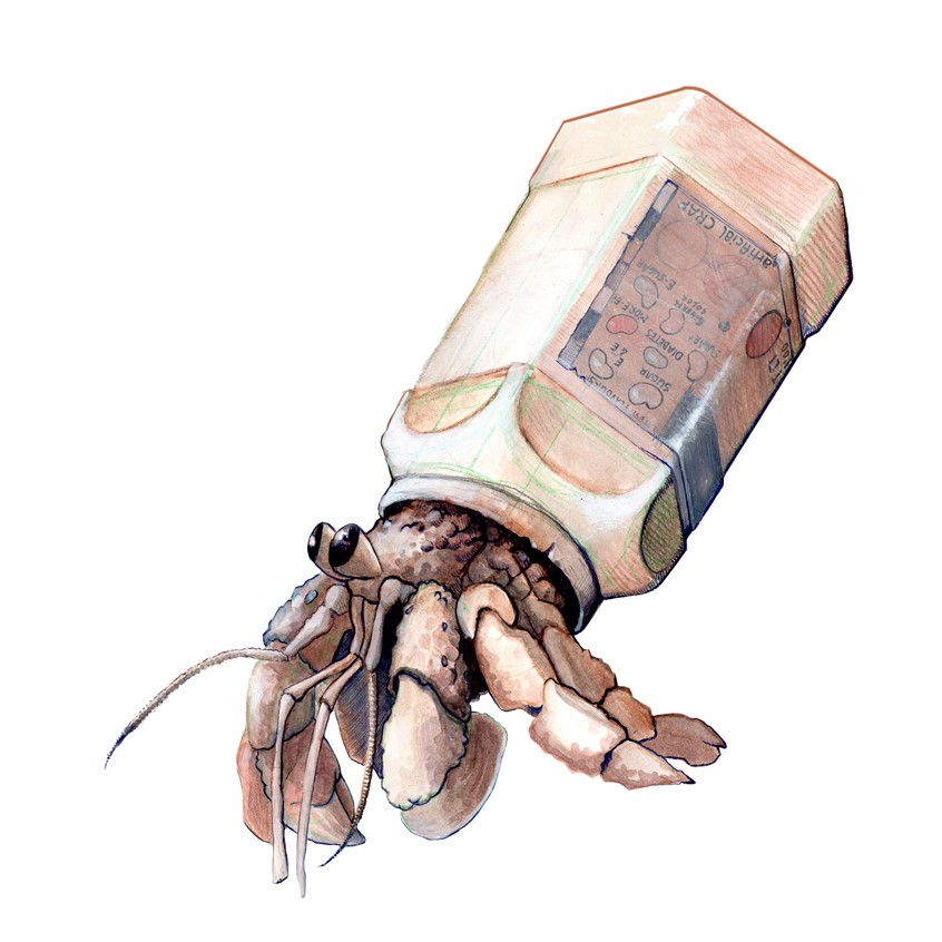 illustration of This image refers to the impact of growing pollution in our environment. Personal project 2020. Crab, Trash, Wildlife, Hermit Crab, Pollution, Editorial, Environmental, Illustration, Digital Edited, Analogue Drawing, Hand Drawn, Watercolour, Brown Tones, Warm Tones, Muted Tones, Reduced Palette
