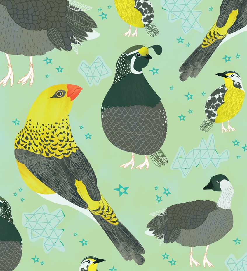 illustration of State birds of the Pacific States for Moda.
Mara completed maps of the 50 states, including placement graphics of each state bird, along with a collection of accompanying patterns.
United States, birds, Pacific, California, Oregon, Washington.