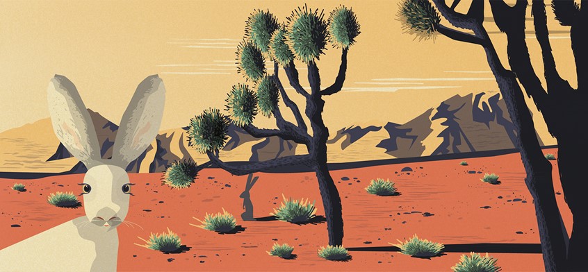 illustration of I had the pleasure to work with Parkland Directs on the envelope bundle. The brief was to create five illustrations of US National Parks and then print them on the envelopes.
travel, nature, adventure, landscape, national park, explore, vacation, travelling, holiday, lifestyle,