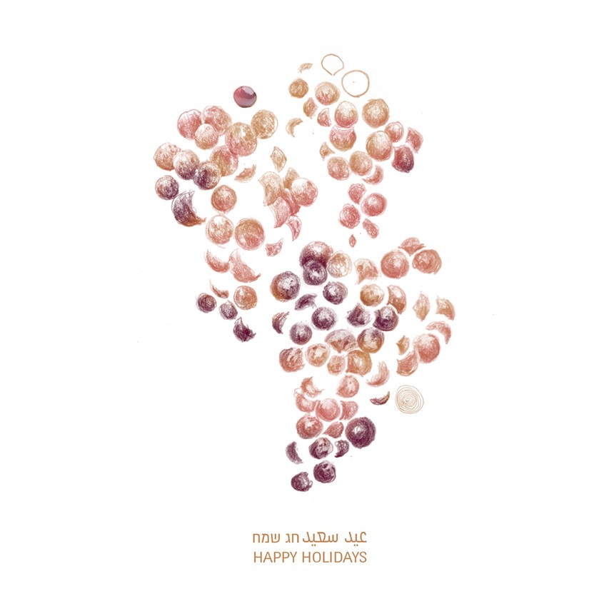 illustration of An illustration for a postcards series (2021), commissioned by Andre Suidan. Wine. Wine label. Grapes. Botanical. vineyards. nature. drawing. pencils. Sharon Spitz