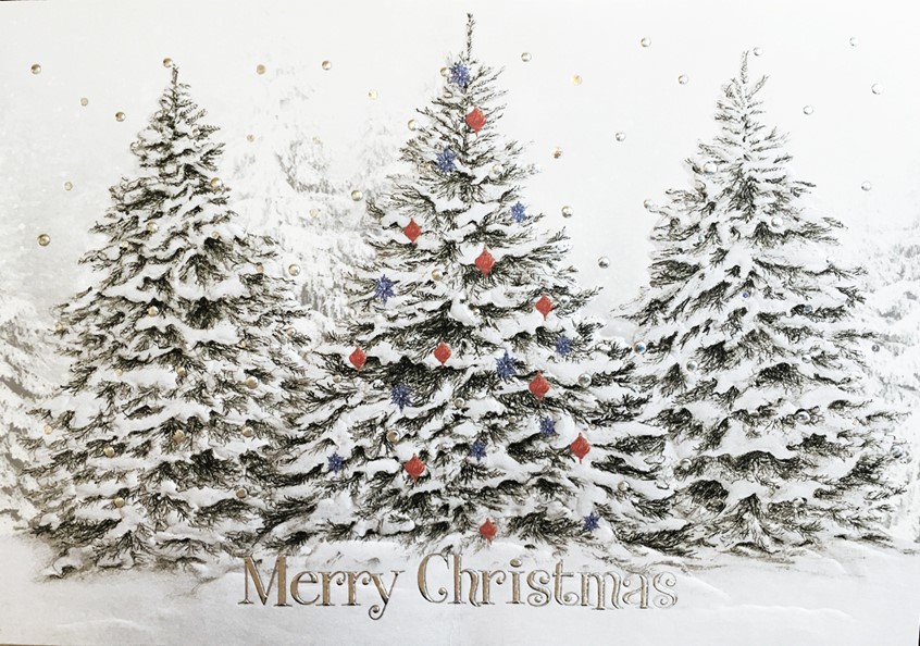 illustration of Fraser Firs & Ornaments ~ Graphite & Watercolor
Christmas Greeting Card created for The Gallery Collection at Prudent Publishing. Embellished with foil and embossing makes this card a beauty to behold! illustration #artwork #prints #plants #bookillustration #lynalice #print #botanical #evergreen #pencil #blackandwhite #christmas #christmastrees