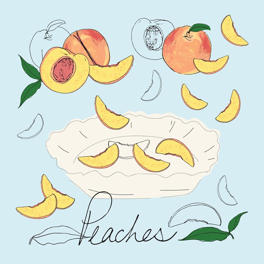 illustration of Summer peaches, peach slices and pie crust ready to bake. Line art and line with color. Fruit illustration hand drawn pen and ink with lettering Peaches. Finished with digital color. Georgia, Missouri peaches, the southeast United States favorite summer fruit. Decorative design cute for cafe, home signs, cooks, kitchen, gifts, stationary, birthday and planners, products, licensing.