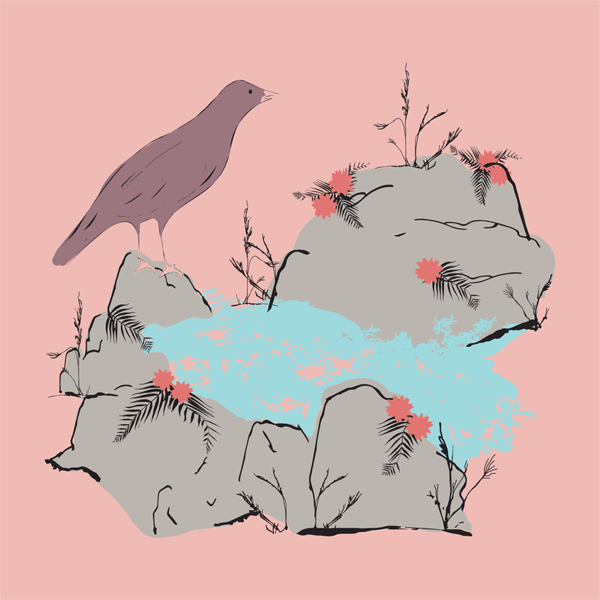 illustration of One violet bird exploring Rose Creek gray rocks overlooking a blue creek surrounded by dark ferns and light red roses flowers on a light pink background. Nature illustration hand drawn pen and ink finished in digital color. Flat lay art, product, stickers, licensing, children's products, lifestyle, packaging, publishing, coloring books, gifts, stationary, notebooks, planner pages.
