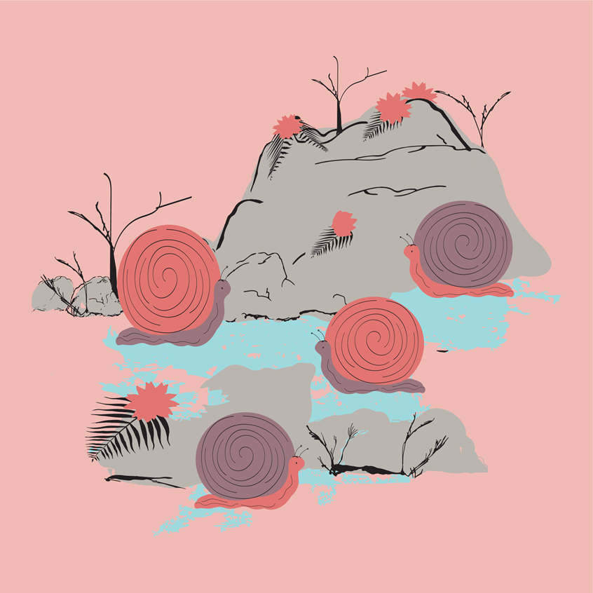 illustration of Four snails in reds and purple explore Rose Creek gray rocks overlooking a blue creek surrounded by dark ferns and light red roses flowers on a light pink background. Nature illustration hand drawn pen and ink finished in digital color. Flat lay art, product, stickers, licensing, children's products, lifestyle, packaging, publishing, coloring books, gifts, stationary, notebooks, planner pages.