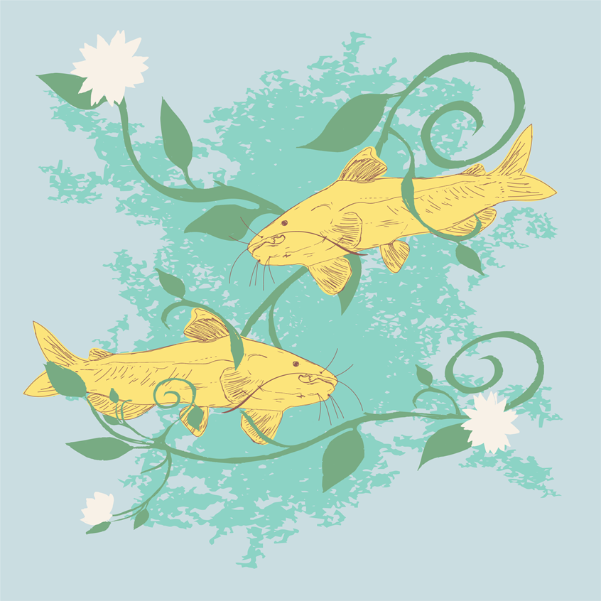 illustration of Two yellow catfish playing in Bleu Creek surrounded by vines and white flowers on a light blue background. Nature illustration hand drawn pen and ink finished in digital color. Flat lay art, product, stickers, licensing, children's products, lifestyle, packaging, publishing, coloring books, gifts, stationary, notebooks, planner pages.