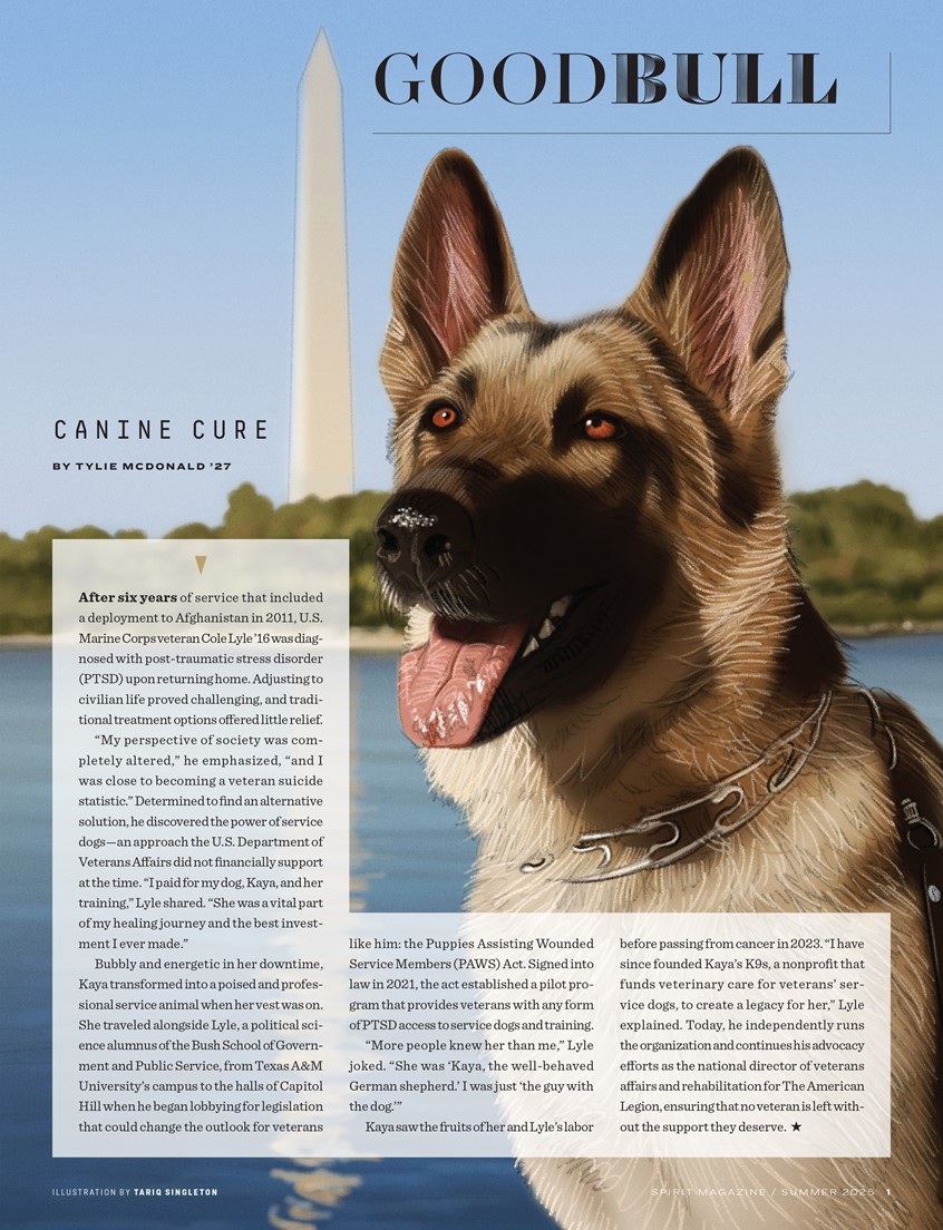 illustration of Editorial illustration for Texas A&M Foundation’s Spirit magazine. The article is about a former U.S. Marine who started a veterinary charity and pushed to change legislation to give war veterans with PTSD access to service dogs.