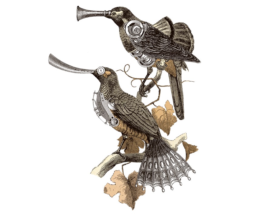 illustration of Illustration made with a collage of Victorian engravings from the unpublished book