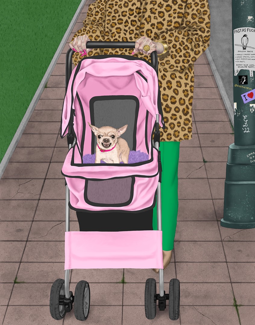 illustration of An angry chihuahua dog being pushed down a New York city street in a pink stroller by its glamorous owner how wears a leopard print coat and gold jewelry.
Digital Illustration, Pet Portrait, Fashion, Landscape, Urban, Funny